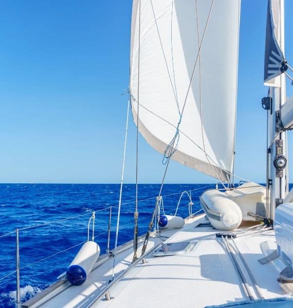 Guide for Fishing Tours and Best Cruises